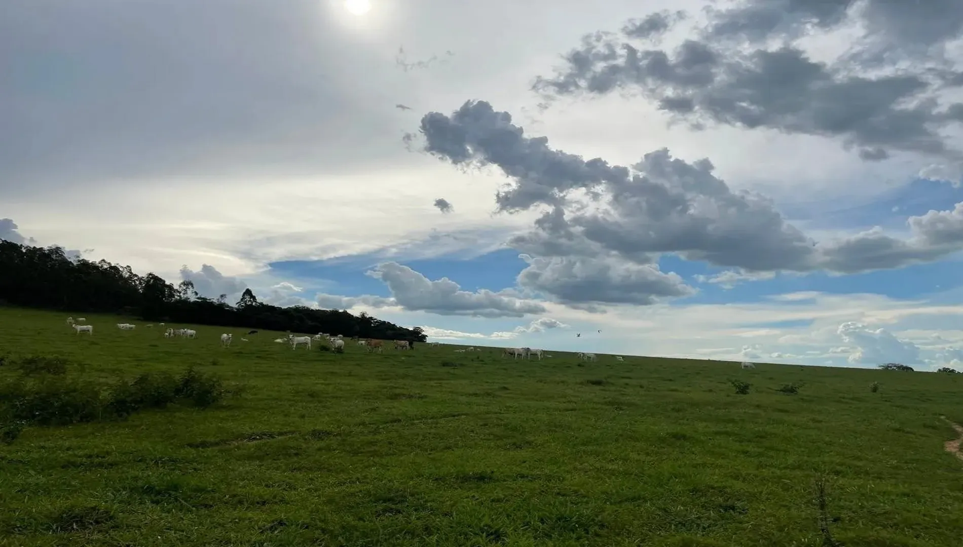 Imagem 58 da Fazenda Pinheirinho em Itu SP