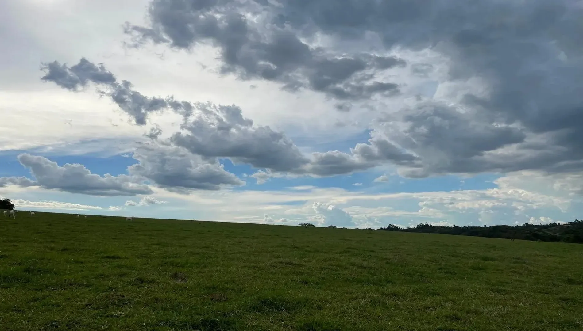 Imagem 62 da Fazenda Pinheirinho em Itu SP