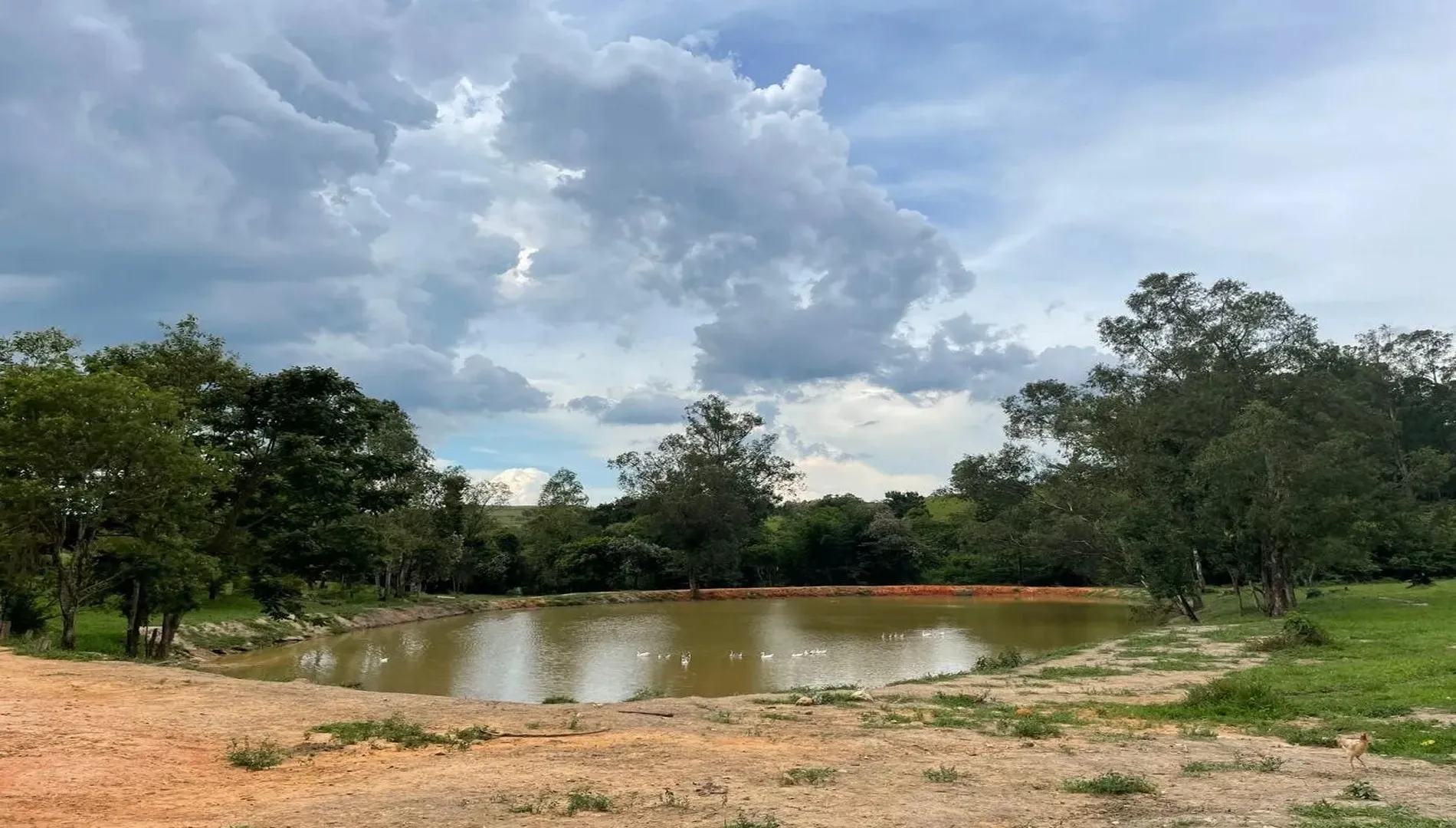 Imagem 65 da Fazenda Pinheirinho em Itu SP