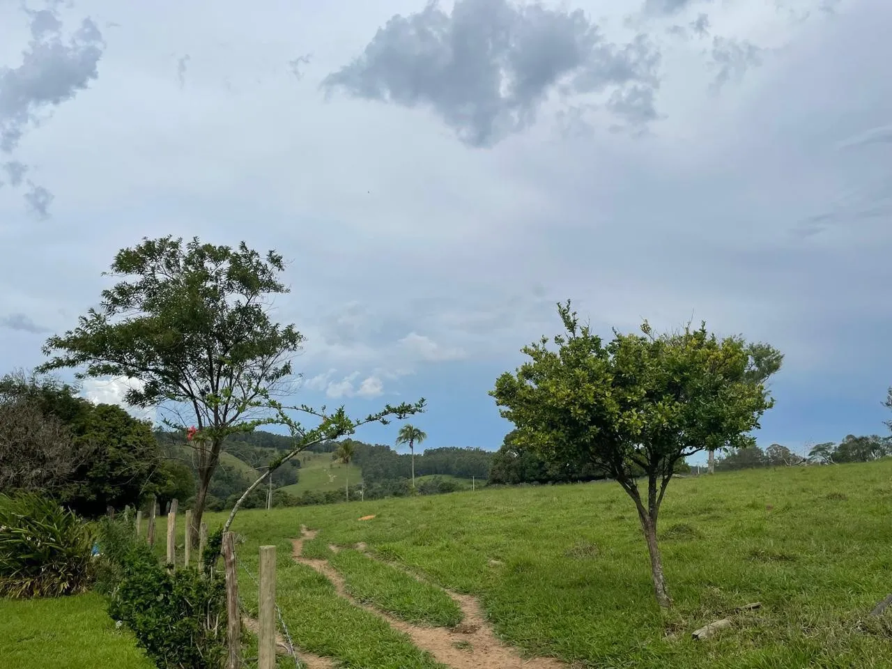 Imagem 26 da Fazenda Estrada Pinheirinho