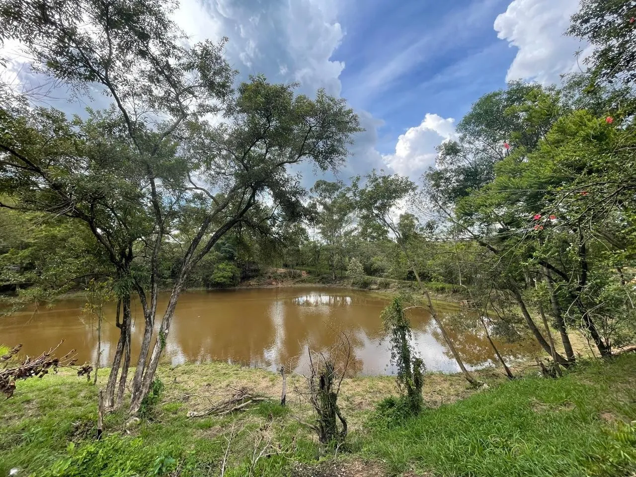 Imagem 34 da Fazenda Estrada Pinheirinho