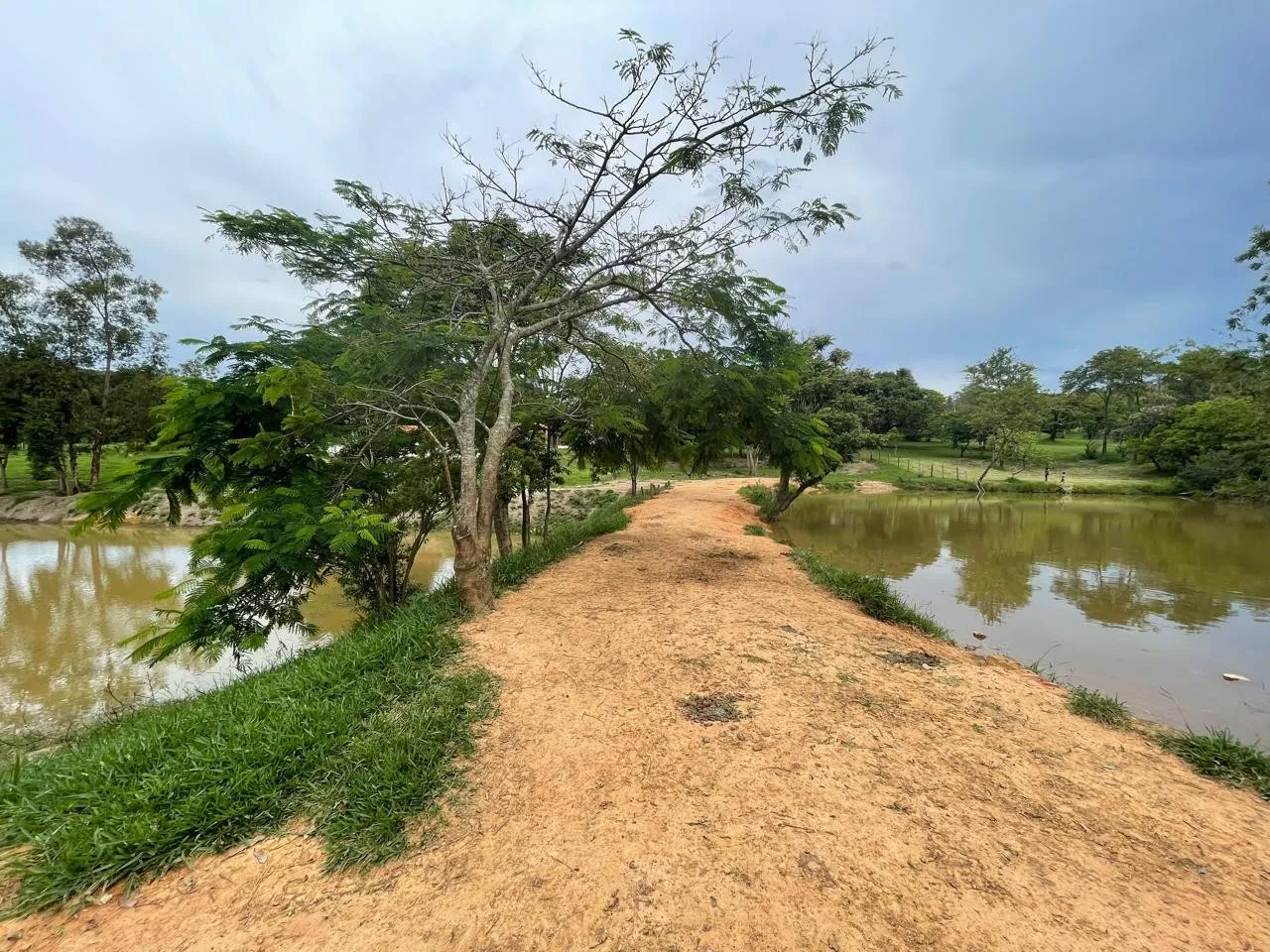 Imagem 57 da Fazenda Estrada Pinheirinho