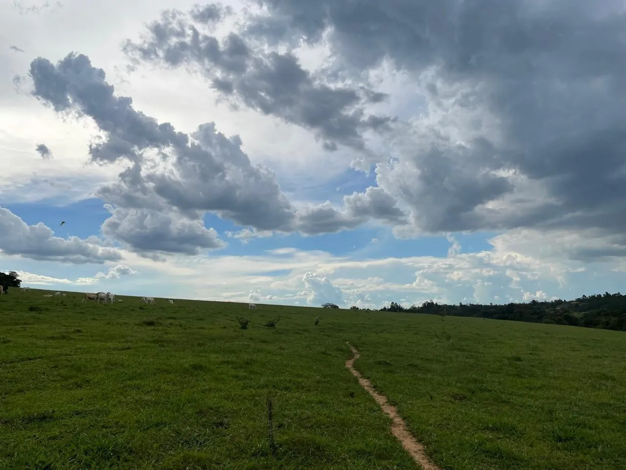 Imagem 60 da Fazenda Estrada Pinheirinho