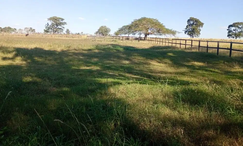 Vista aérea da Fazenda Equina em Porto Feliz em  