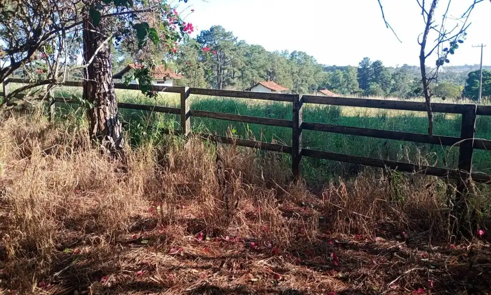 Imagem 101 da Fazenda Porto Feliz