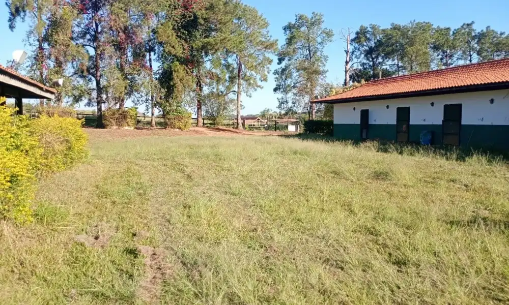 Imagem 102 da Fazenda Porto Feliz