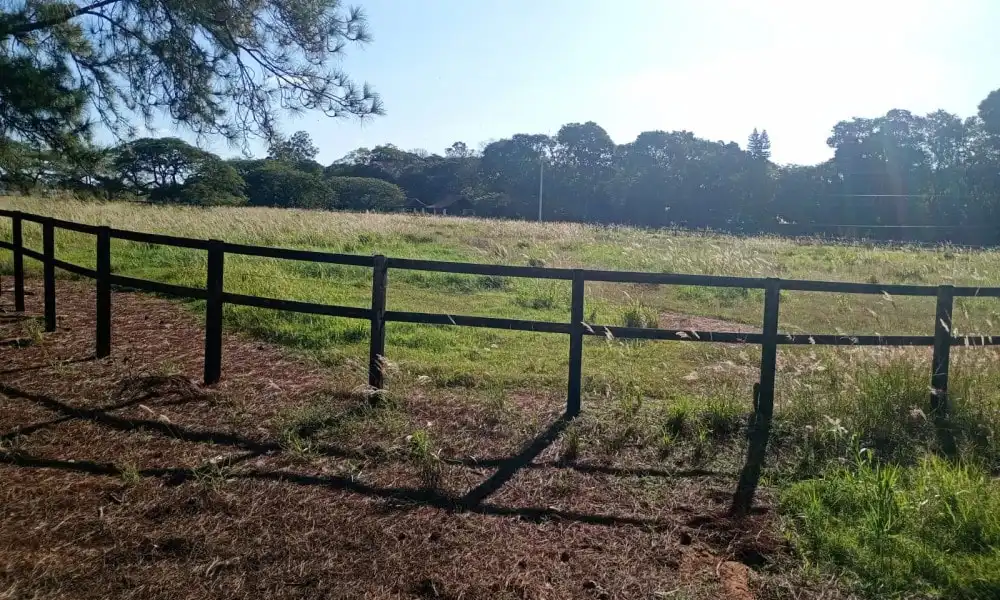 Imagem 103 da Fazenda Porto Feliz