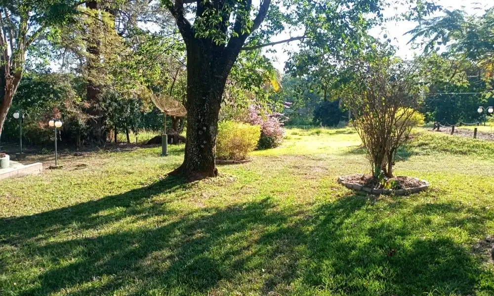 Imagem 104 da Fazenda Porto Feliz