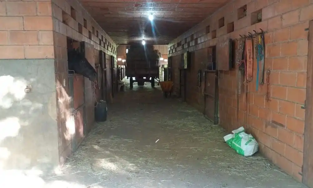 Imagem 14 da Fazenda Porto Feliz