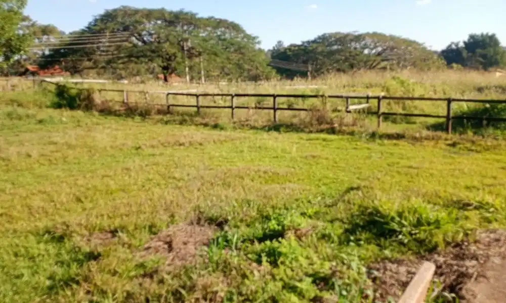 Imagem 15 da Fazenda Porto Feliz