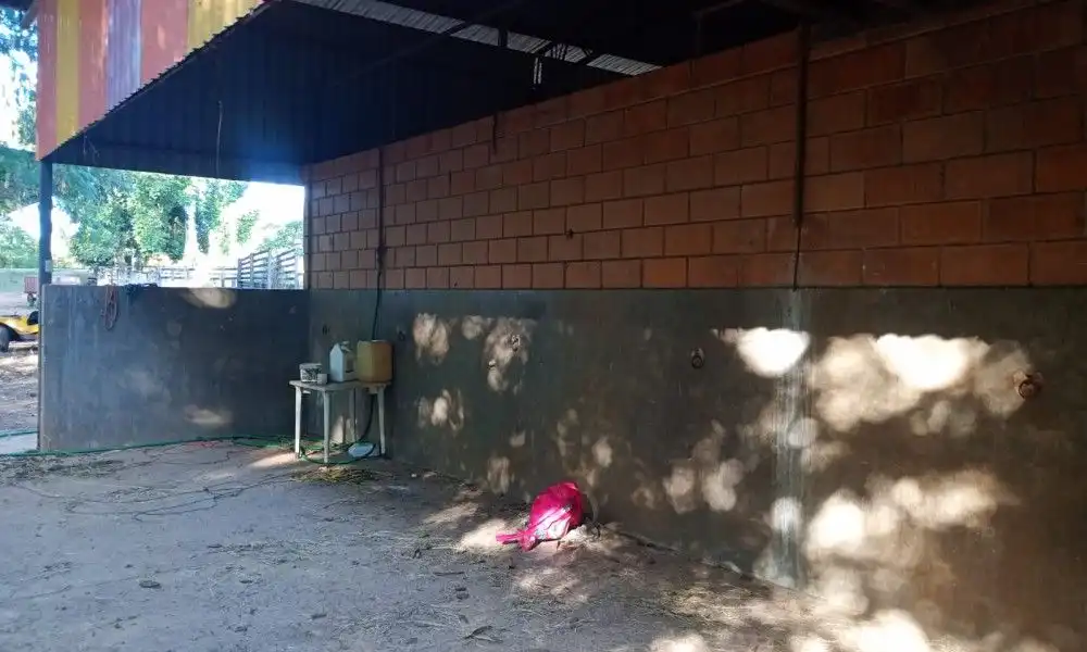 Imagem 18 da Fazenda Porto Feliz