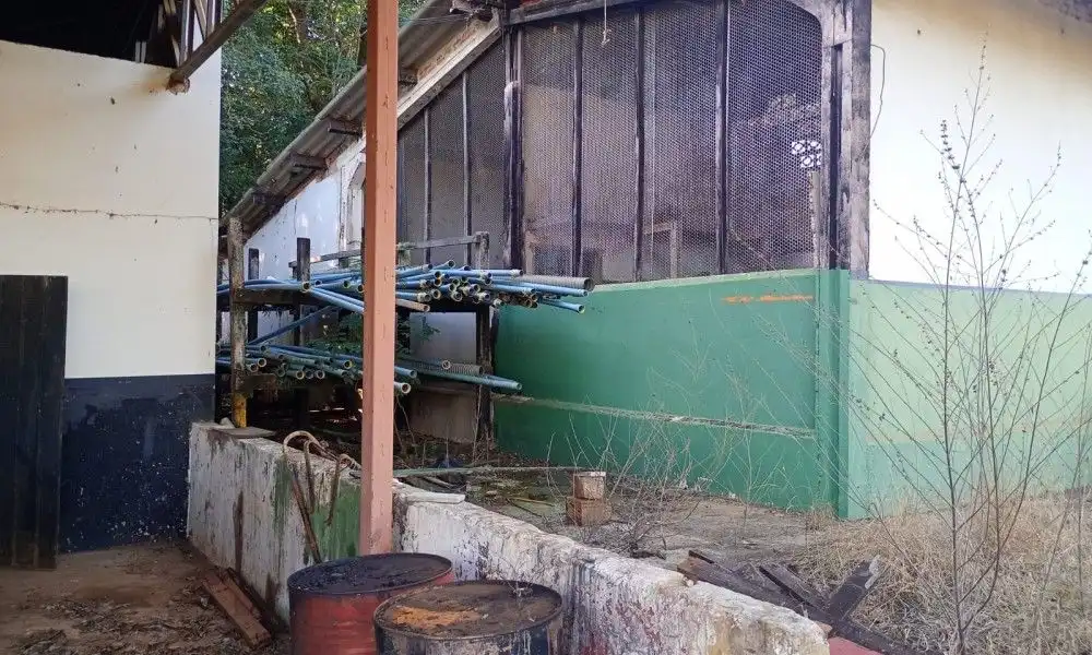 Imagem 21 da Fazenda Porto Feliz