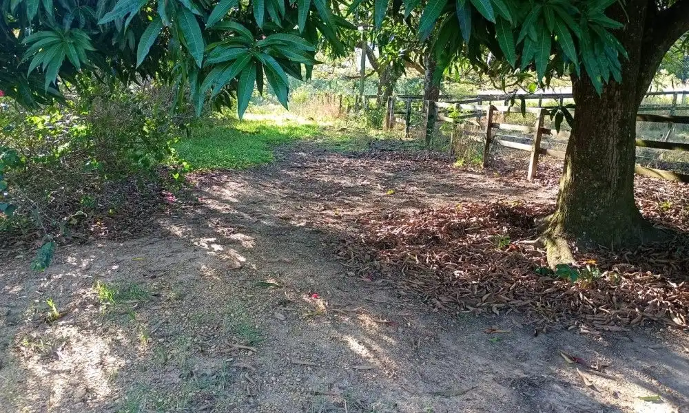 Imagem 24 da Fazenda Porto Feliz