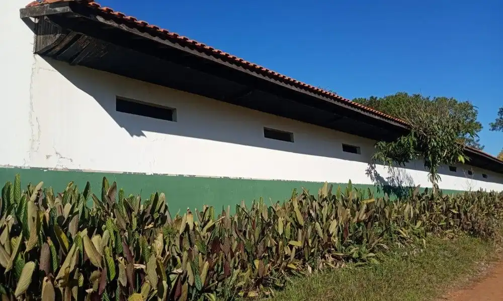 Imagem 25 da Fazenda Porto Feliz