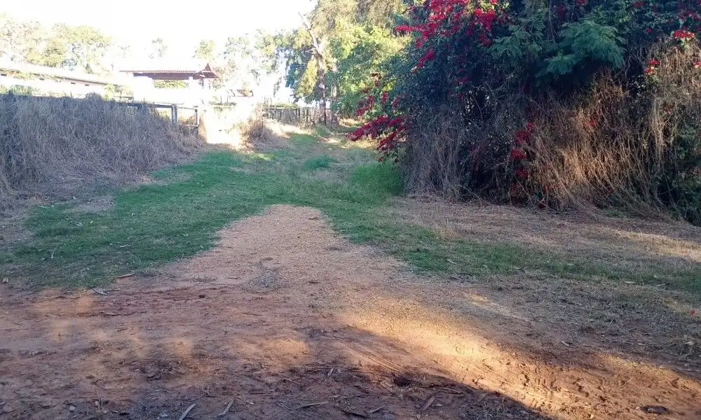 Imagem 26 da Fazenda Porto Feliz