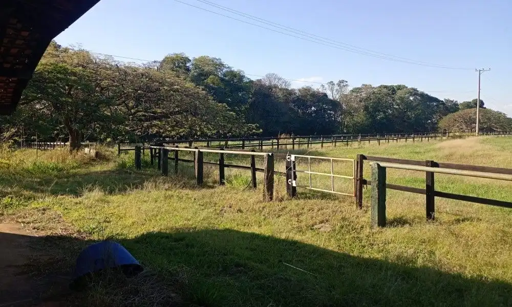 Imagem 27 da Fazenda Porto Feliz