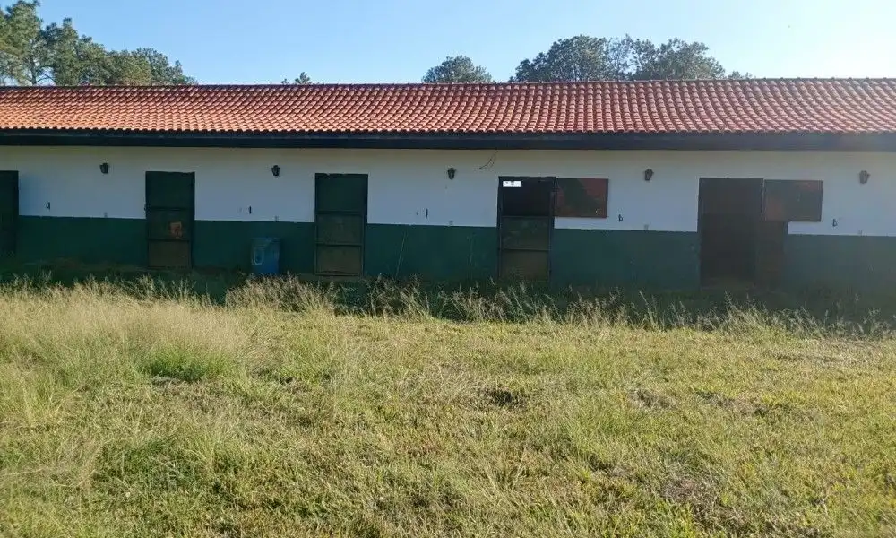 Imagem 28 da Fazenda Porto Feliz