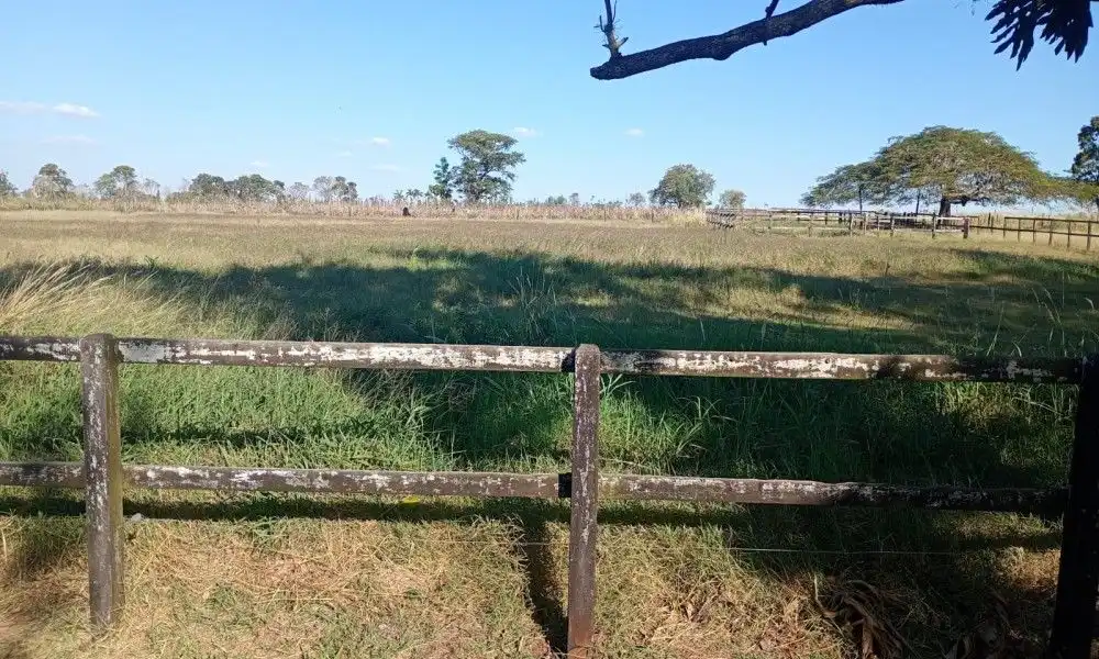 Imagem 3 da Fazenda Porto Feliz