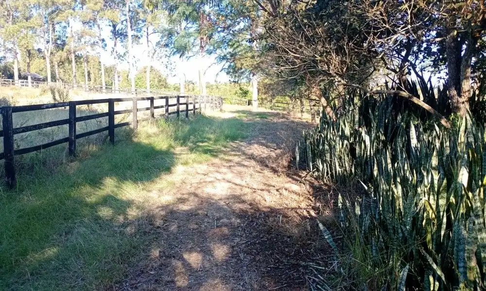 Imagem 30 da Fazenda Porto Feliz