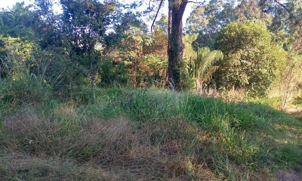 Imagem 33 da Fazenda Porto Feliz