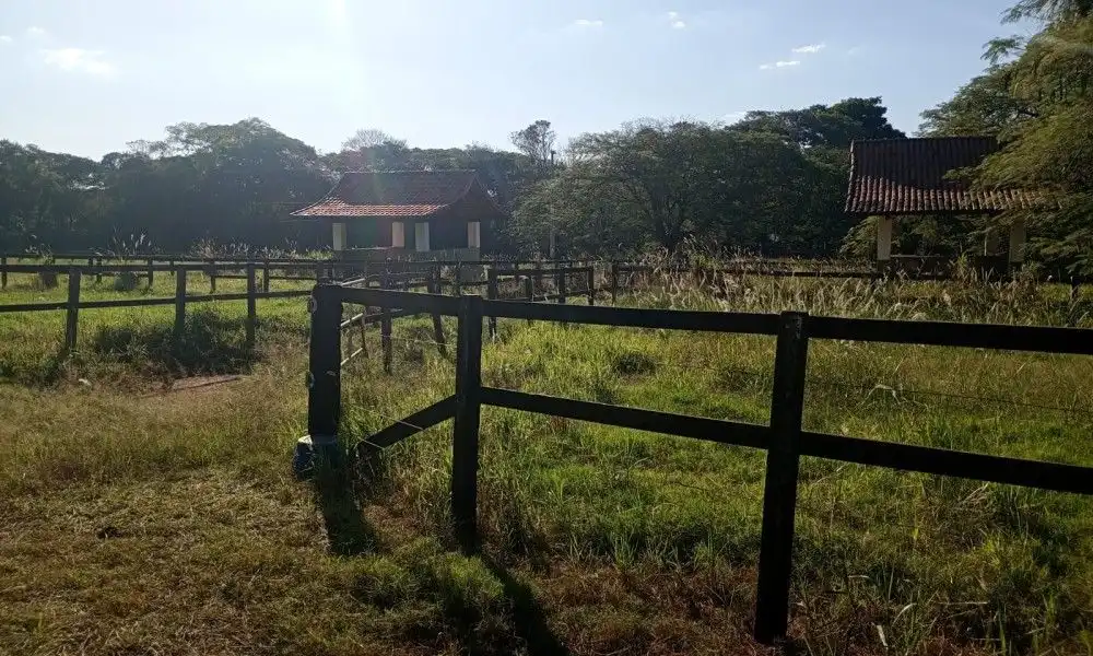 Imagem 34 da Fazenda Porto Feliz