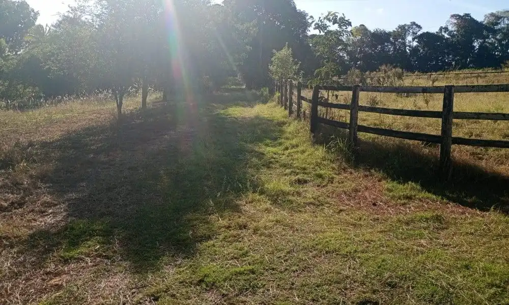 Imagem 42 da Fazenda Porto Feliz