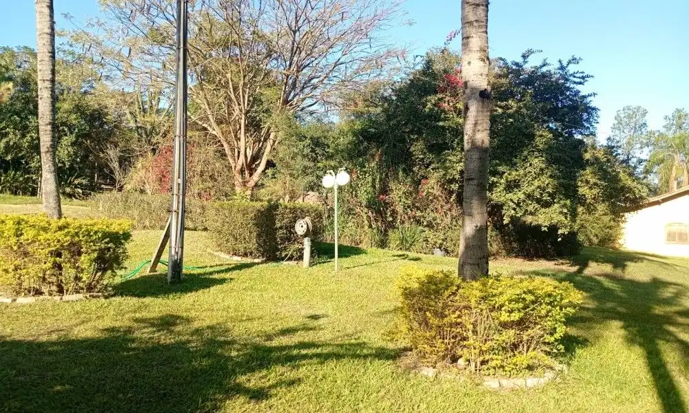 Imagem 43 da Fazenda Porto Feliz