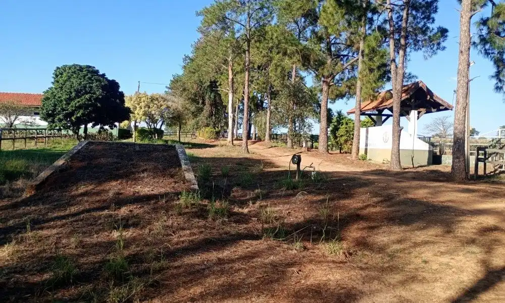 Imagem 44 da Fazenda Porto Feliz