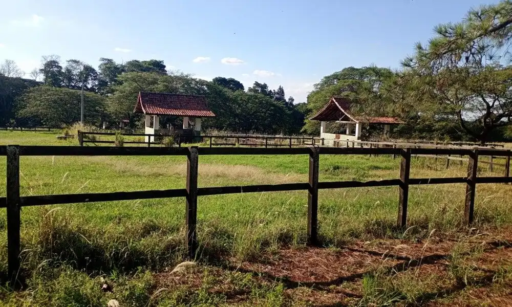Imagem 45 da Fazenda Porto Feliz