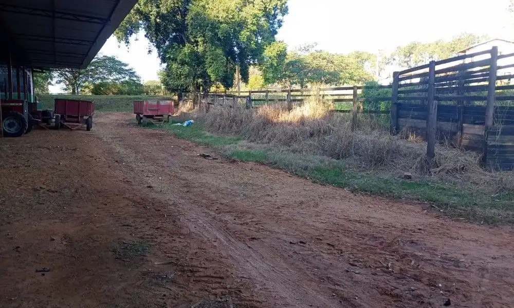 Imagem 47 da Fazenda Porto Feliz