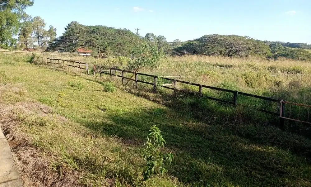 Imagem 48 da Fazenda Porto Feliz