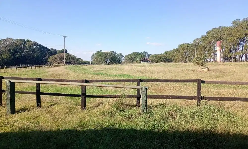 Imagem 49 da Fazenda Porto Feliz