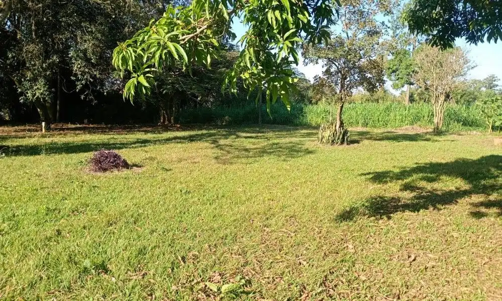 Imagem 5 da Fazenda Porto Feliz