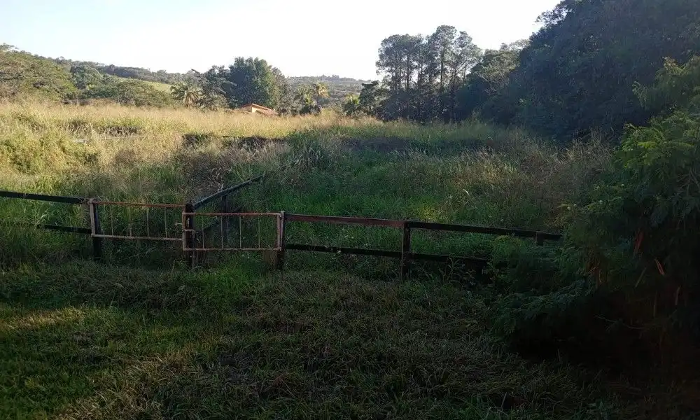 Imagem 52 da Fazenda Porto Feliz