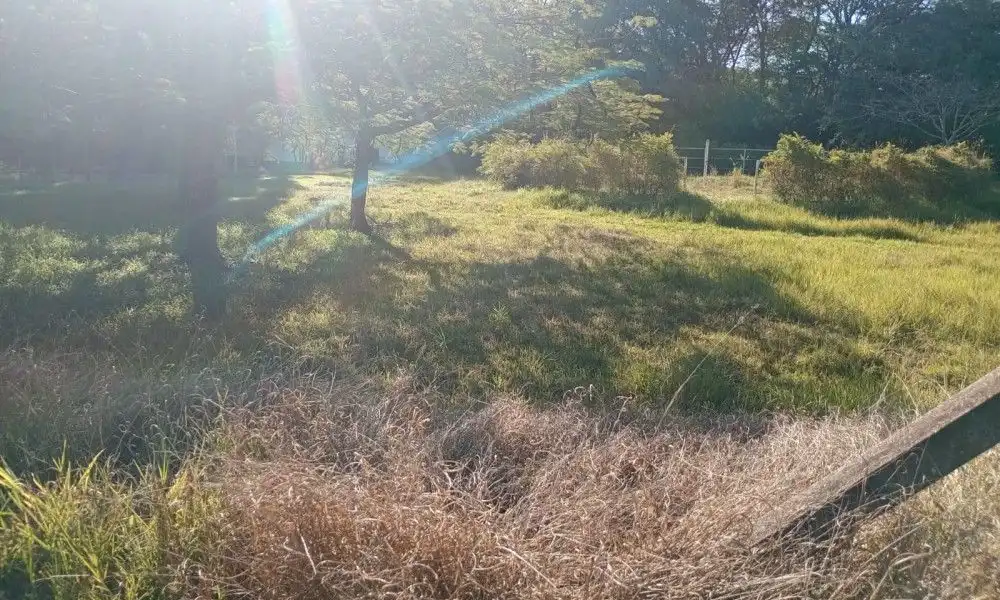 Imagem 53 da Fazenda Porto Feliz