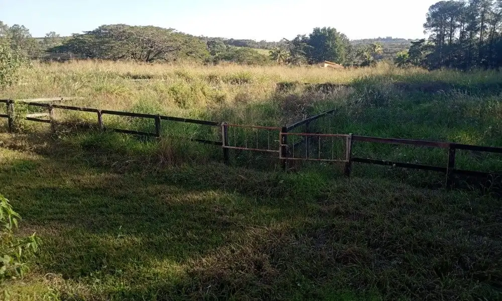 Imagem 57 da Fazenda Porto Feliz