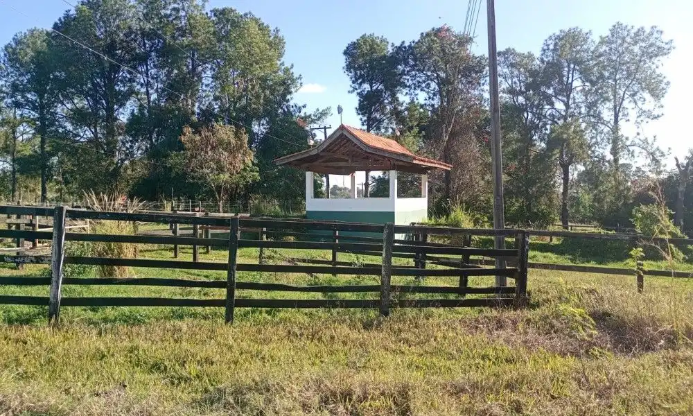 Imagem 58 da Fazenda Porto Feliz