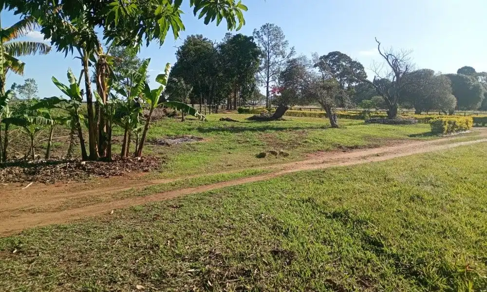 Imagem 6 da Fazenda Porto Feliz