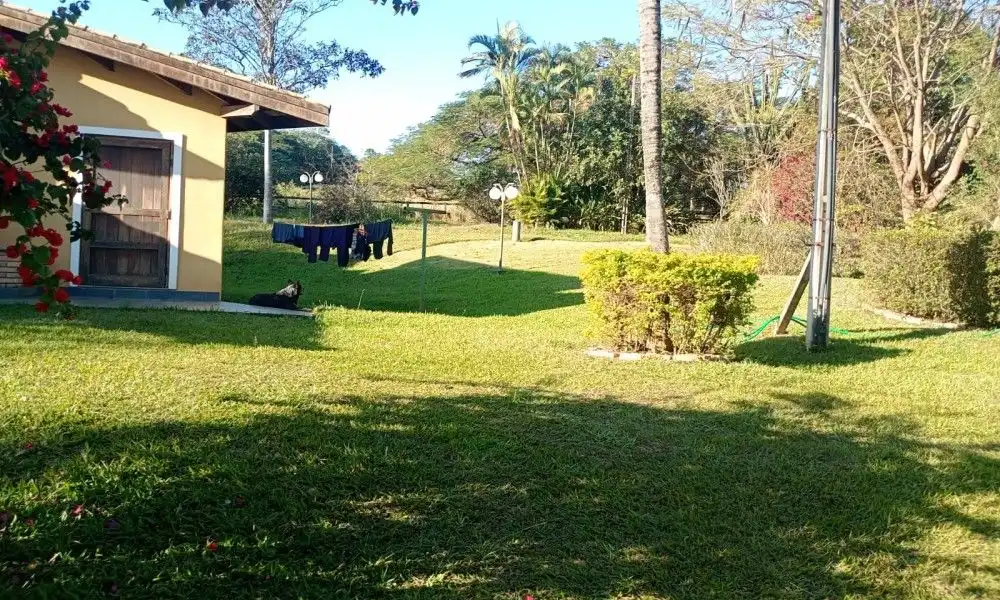 Imagem 61 da Fazenda Porto Feliz