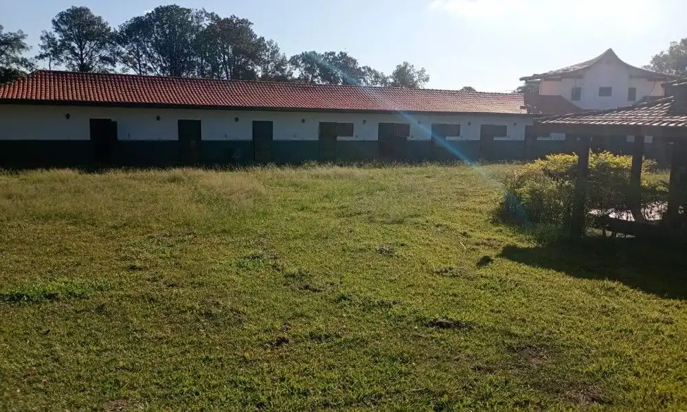 Imagem 62 da Fazenda Porto Feliz