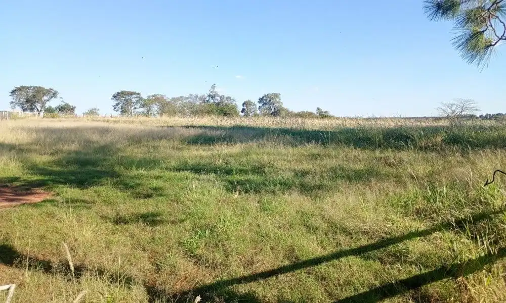 Imagem 63 da Fazenda Porto Feliz