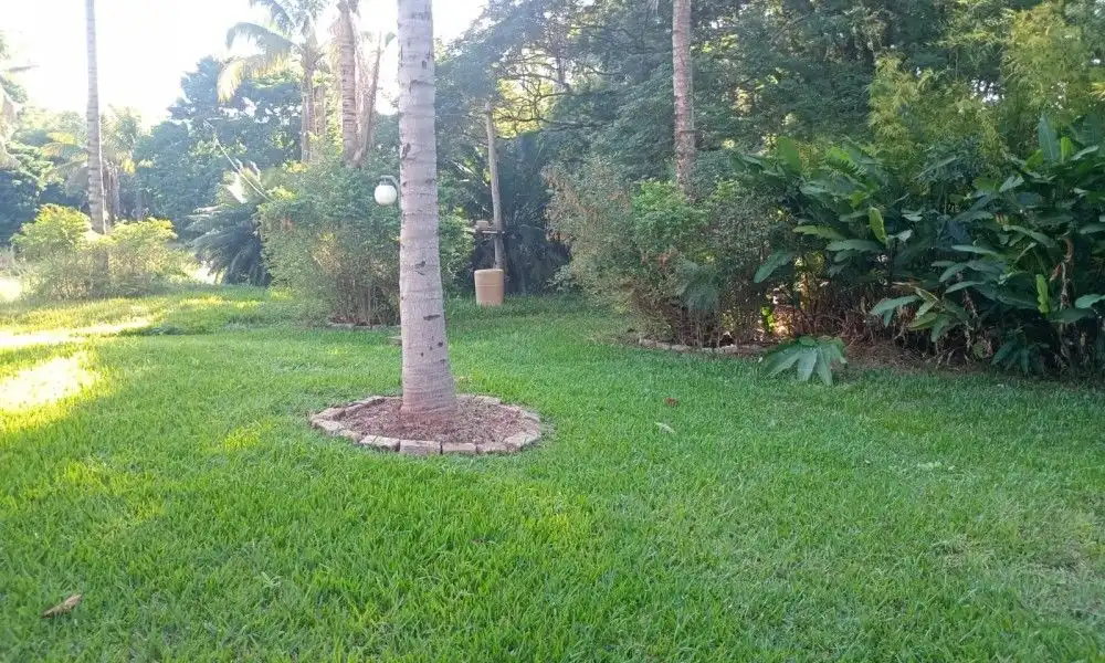 Imagem 64 da Fazenda Porto Feliz