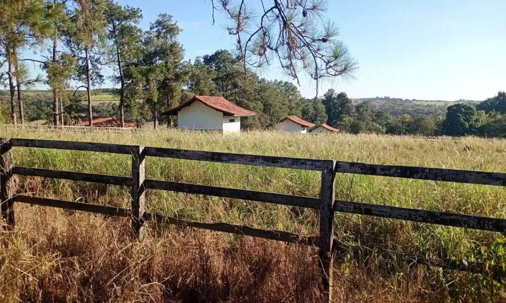 Imagem 66 da Fazenda Porto Feliz
