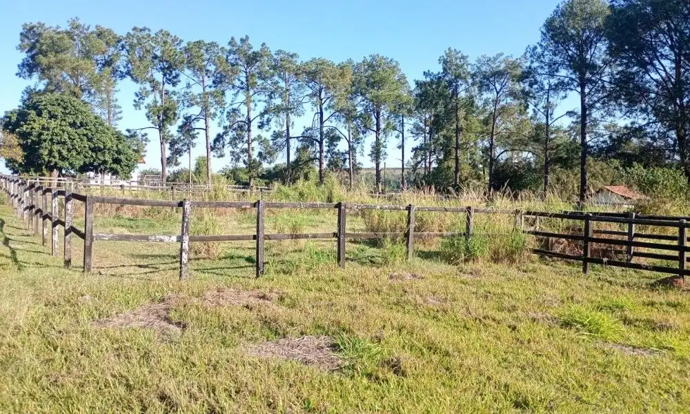 Imagem 68 da Fazenda Porto Feliz