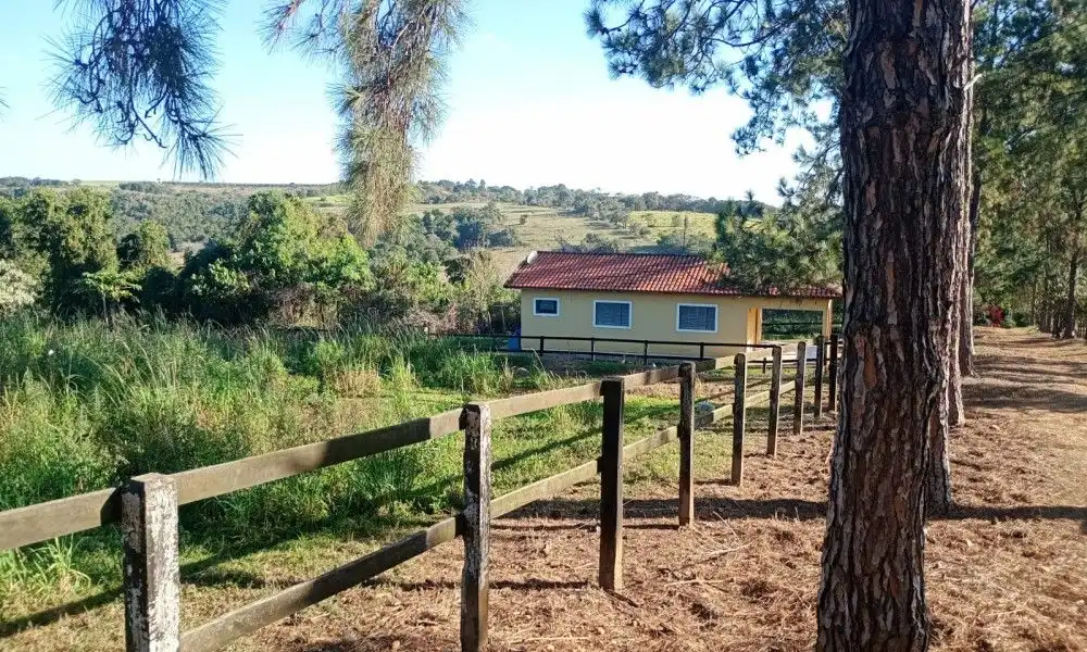 Imagem 69 da Fazenda Porto Feliz