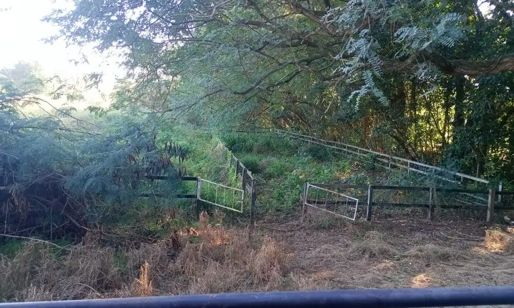 Imagem 70 da Fazenda Porto Feliz