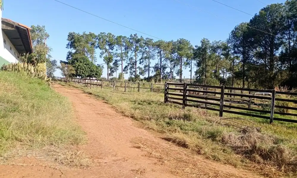 Imagem 71 da Fazenda Porto Feliz