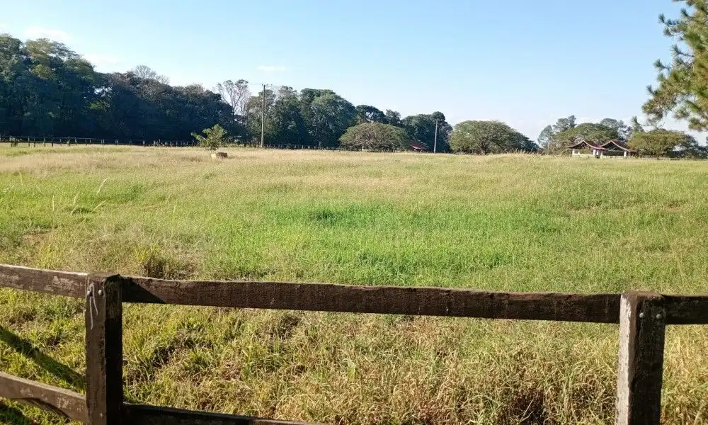Imagem 72 da Fazenda Porto Feliz