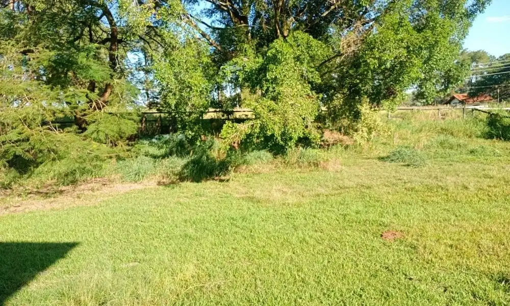 Imagem 74 da Fazenda Porto Feliz