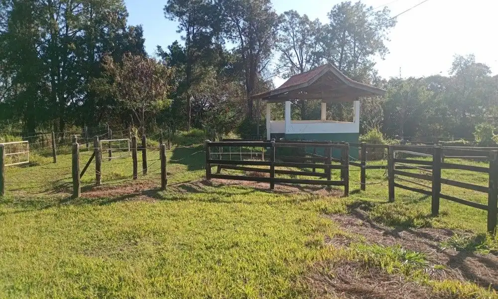 Imagem 76 da Fazenda Porto Feliz